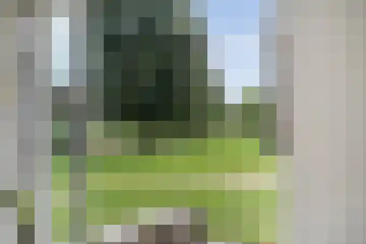 Voermanstraat 96 Zwolle thumbnail 15