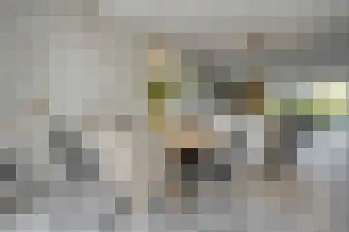 Voermanstraat 96 Zwolle thumbnail 17
