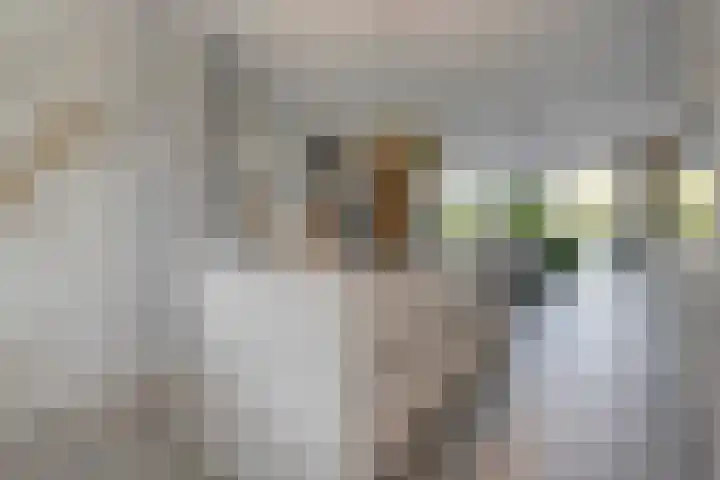 Voermanstraat 96 Zwolle thumbnail 21