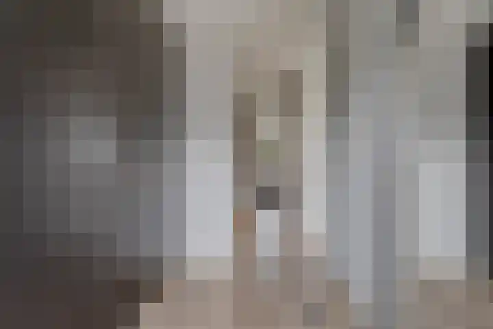 Voermanstraat 96 Zwolle thumbnail 25
