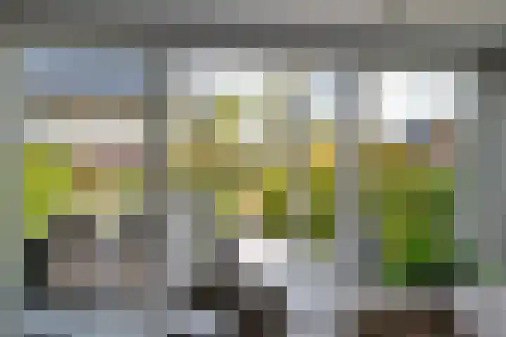 Voermanstraat 96 Zwolle thumbnail 39