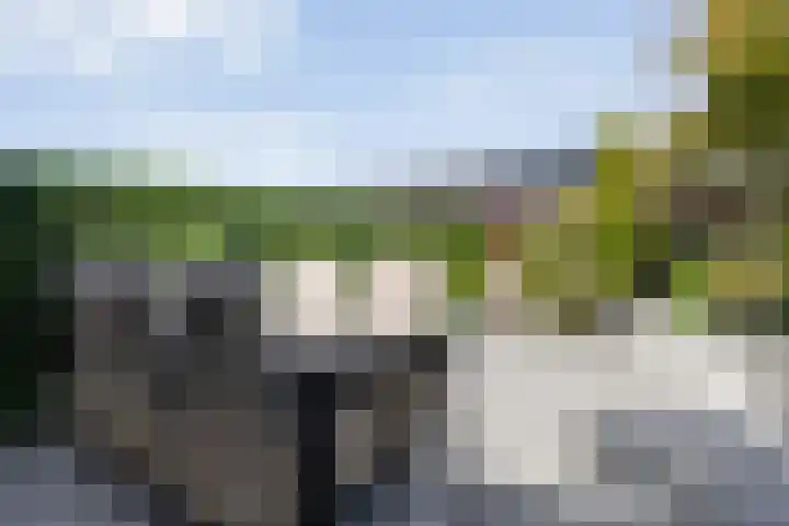 Voermanstraat 96 Zwolle thumbnail 40