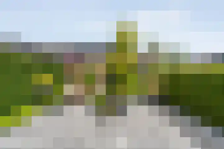 Voermanstraat 96 Zwolle thumbnail 41