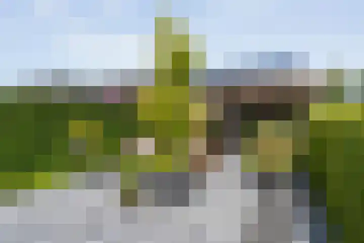 Voermanstraat 96 Zwolle thumbnail 42