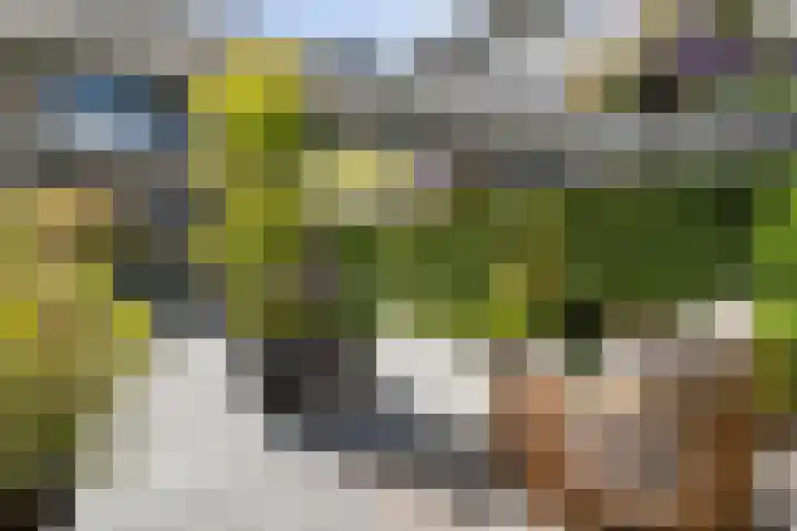 Voermanstraat 96 Zwolle thumbnail 46
