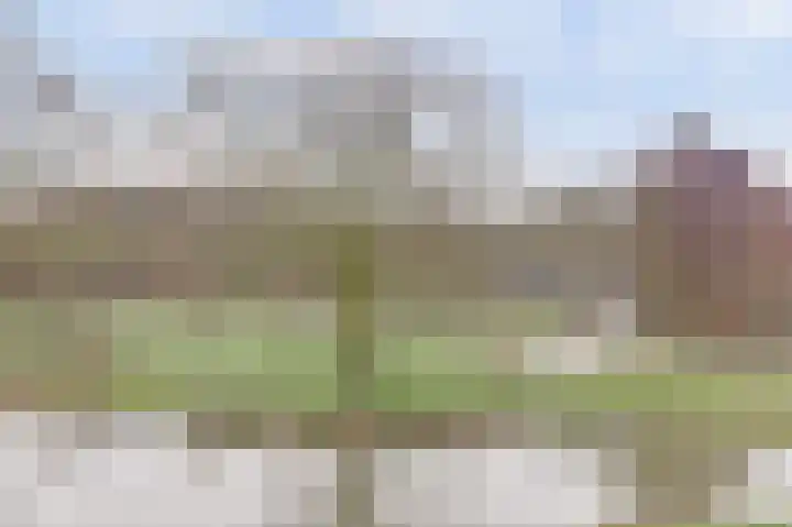 Voermansweide 40 Nieuwegein thumbnail 35
