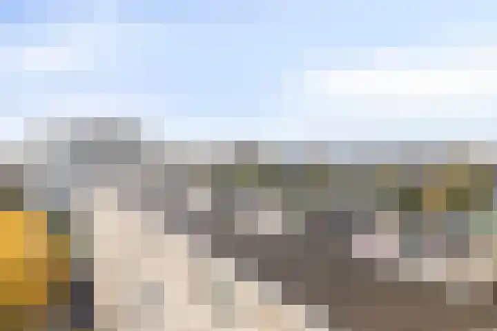 Voermanweg 220 Rotterdam thumbnail 19