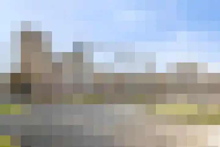 Voermanweg 220 Rotterdam thumbnail 20