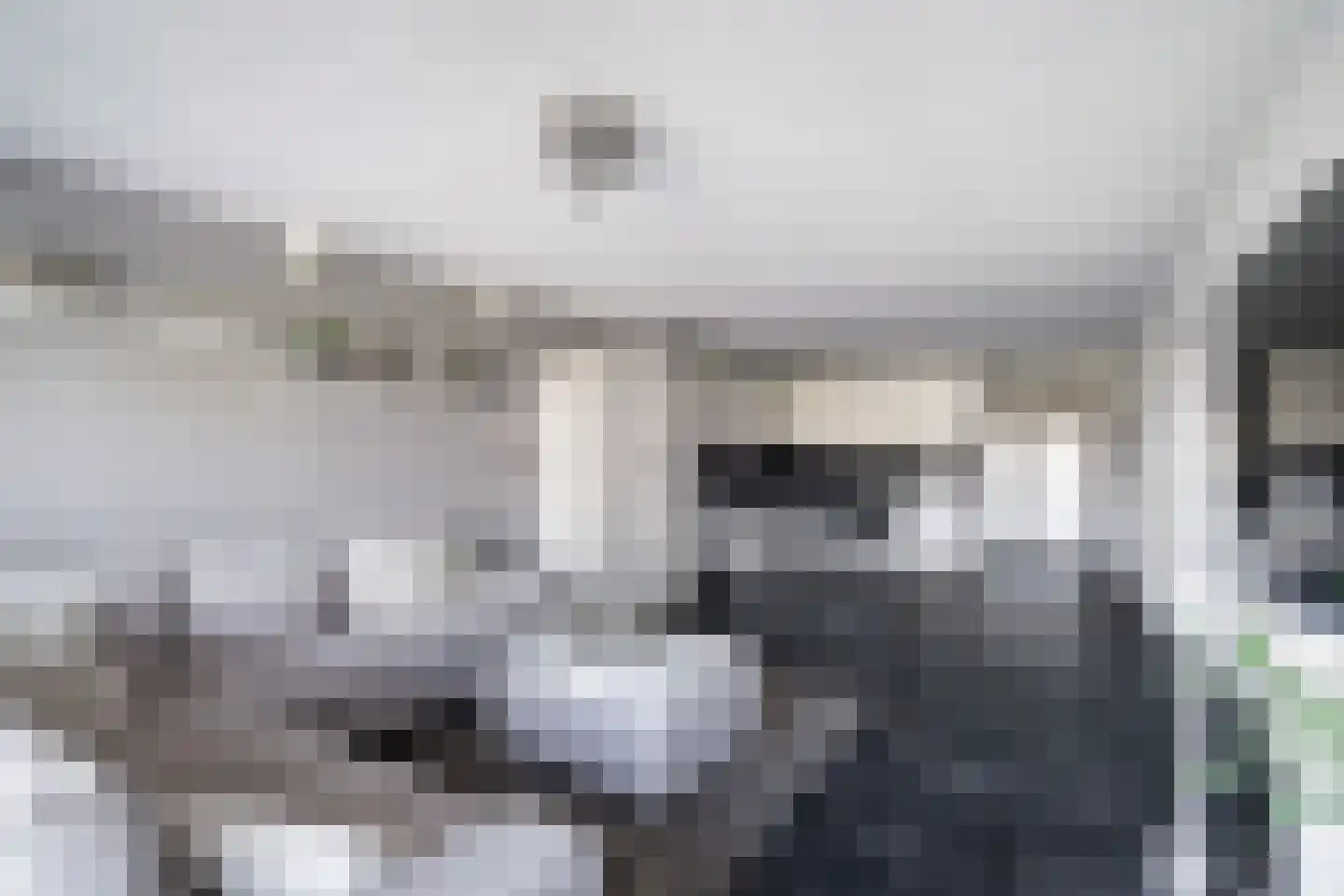 Voermanweg 278 Rotterdam thumbnail 9