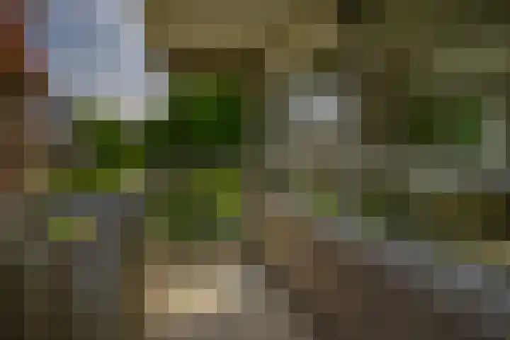 Voermanweg 284 Rotterdam thumbnail 30