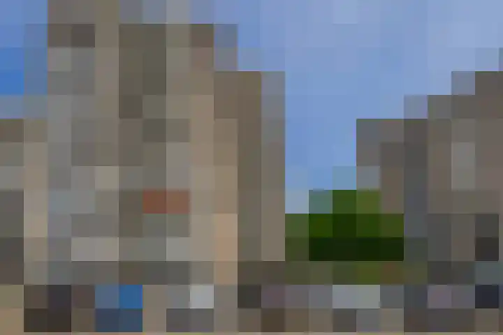 Voermanweg 284 Rotterdam thumbnail 33