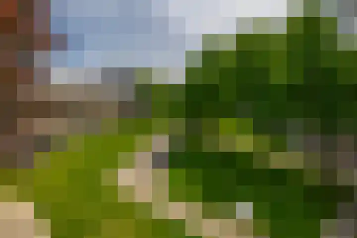 Voermanweg 284 Rotterdam thumbnail 38