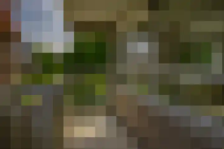 Voermanweg 284 Rotterdam thumbnail 4