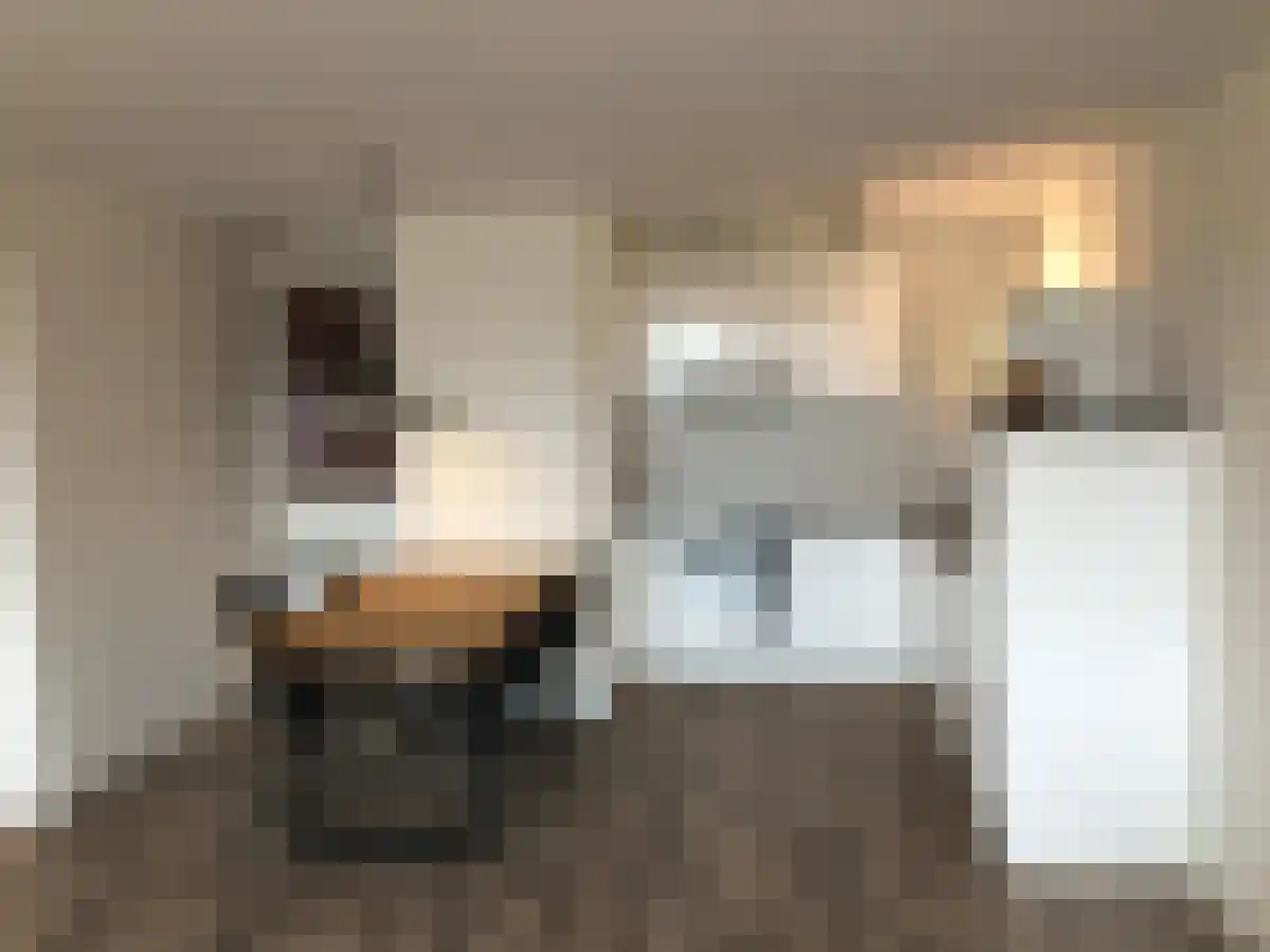 Voermanweg 334 Rotterdam thumbnail 7