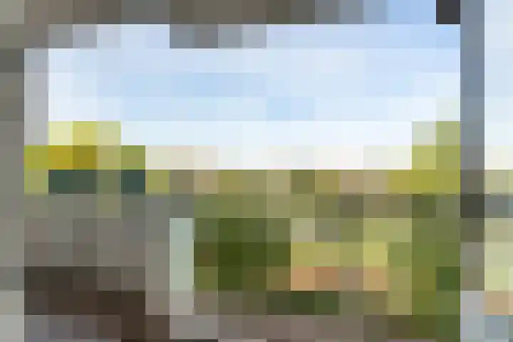 Voermanweg 612 Rotterdam thumbnail 29