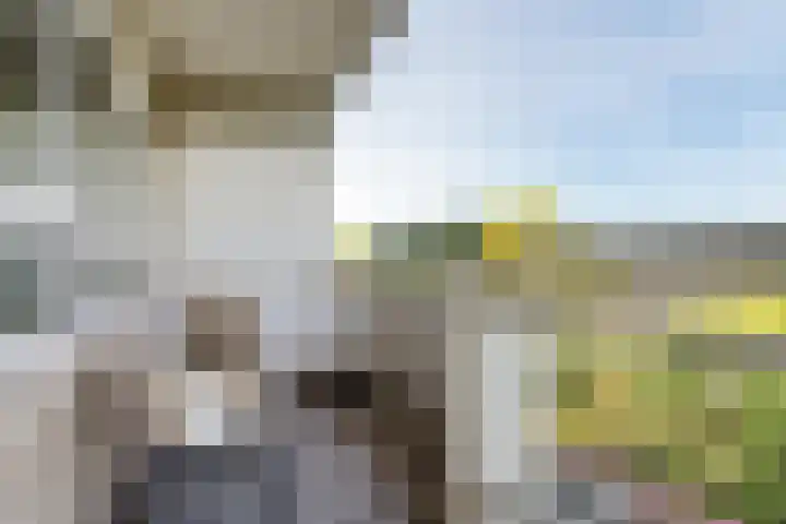 Voermanweg 612 Rotterdam thumbnail 30