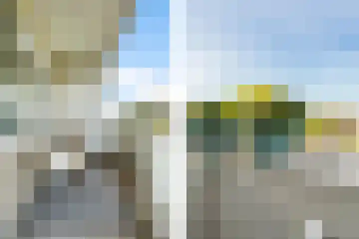Voermanweg 612 Rotterdam thumbnail 31
