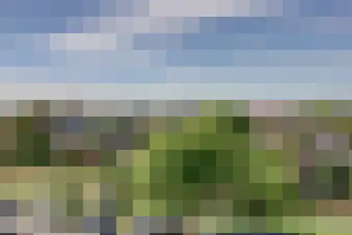 Voermanweg 652 Rotterdam thumbnail 13