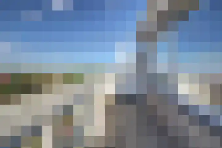 Voermanweg 652 Rotterdam thumbnail 14