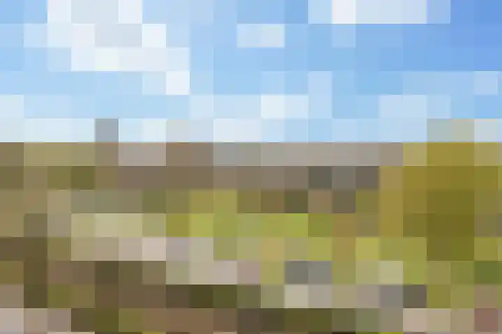 Voermanweg 662 Rotterdam thumbnail 4