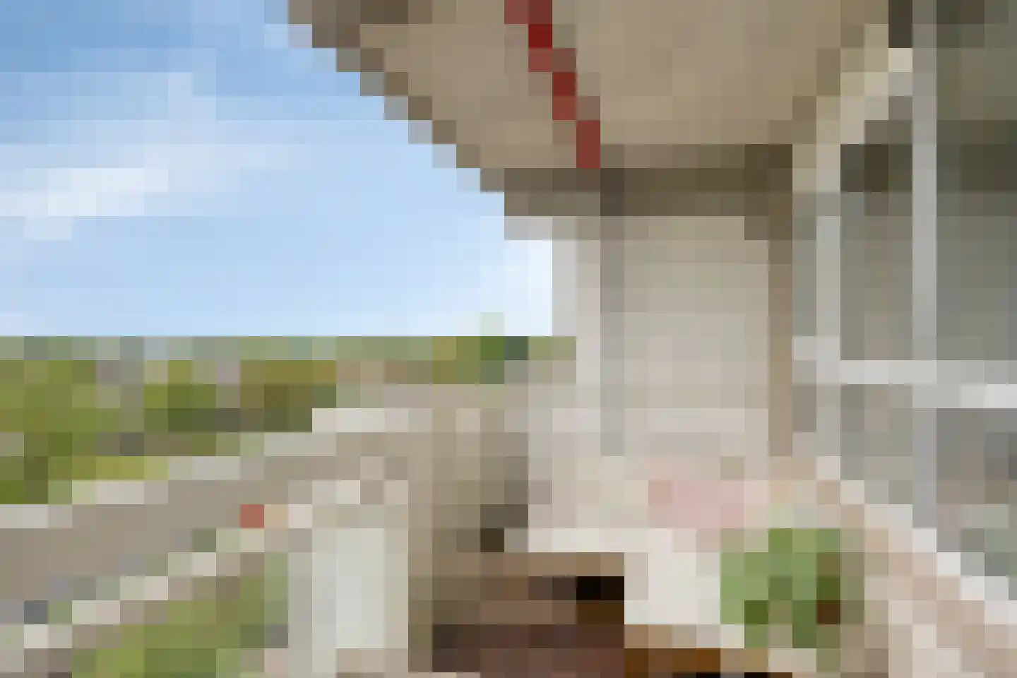 Voermanweg 672 Rotterdam thumbnail 33