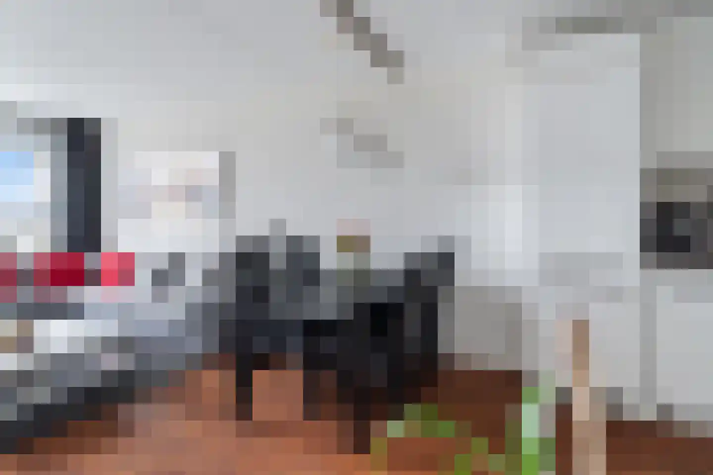 Voermanweg 676 Rotterdam thumbnail 17