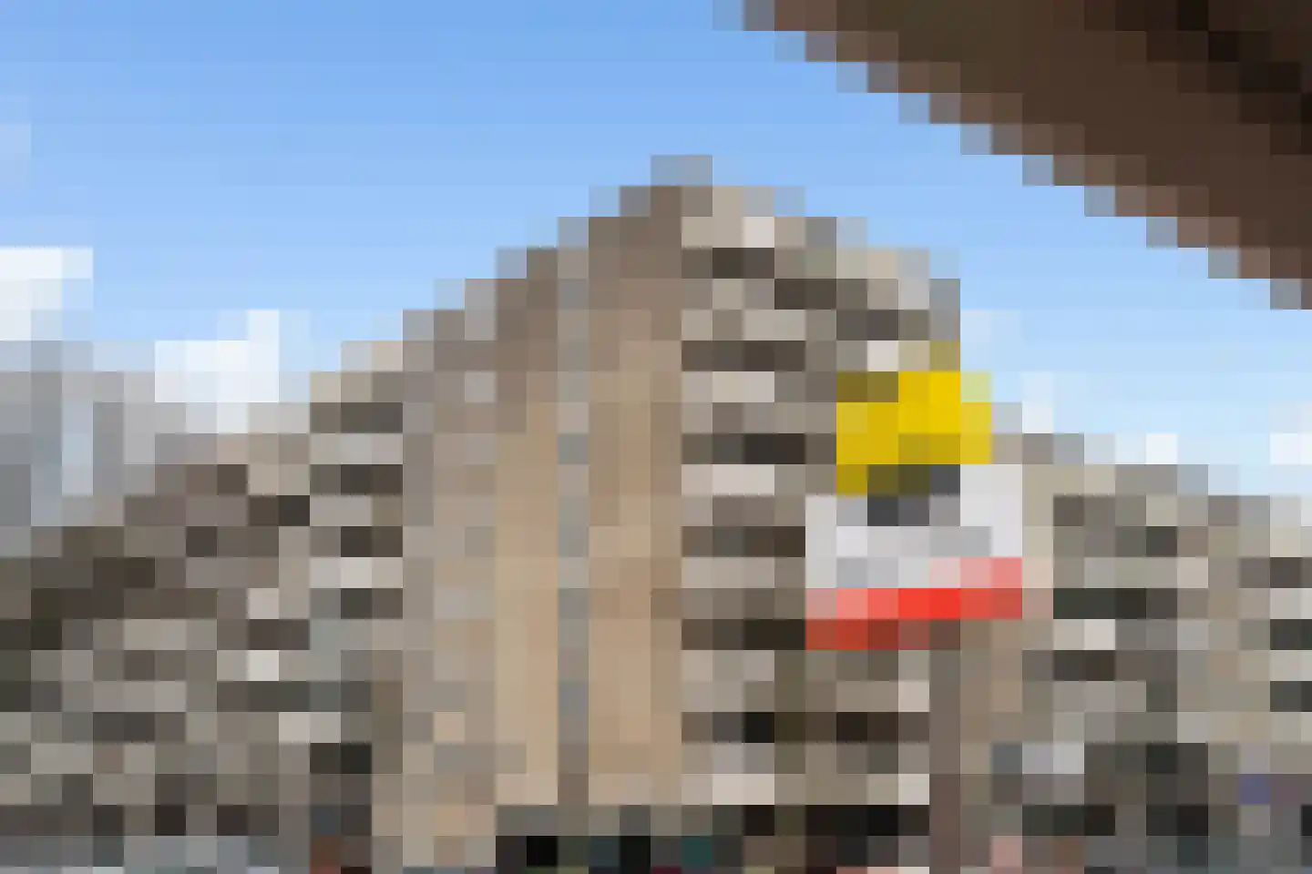Voermanweg 676 Rotterdam thumbnail 44