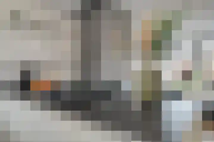 Voermanwei 16 Valkenswaard thumbnail 15