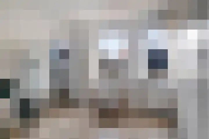 Voermanwei 16 Valkenswaard thumbnail 22