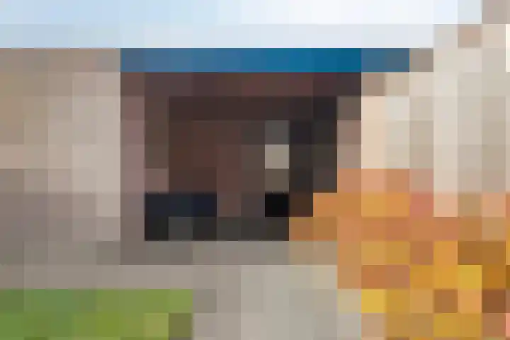 Voermanwei 16 Valkenswaard thumbnail 28