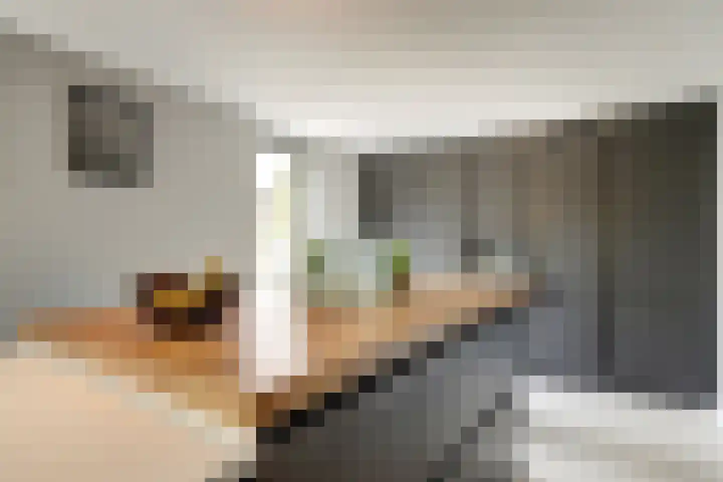 Voerstraat 16 Leiderdorp thumbnail 11