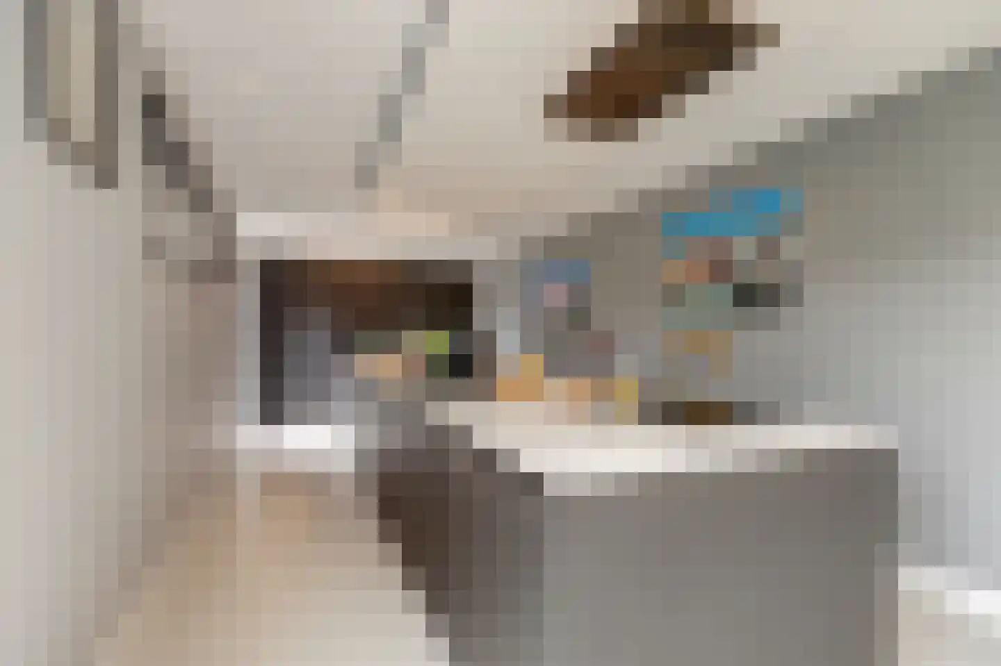 Voerstraat 16 Leiderdorp thumbnail 13