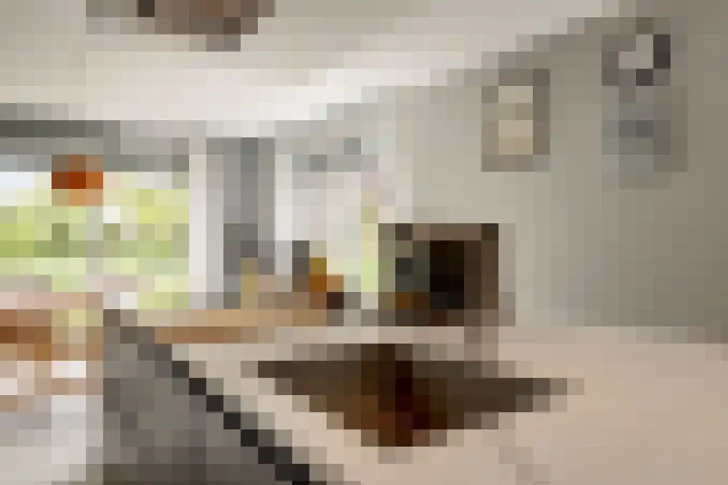 Voerstraat 16 Leiderdorp thumbnail 14