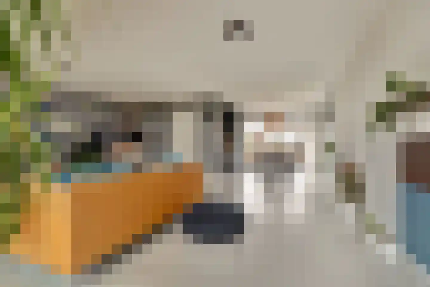 Voerstraat 16 Leiderdorp thumbnail 20