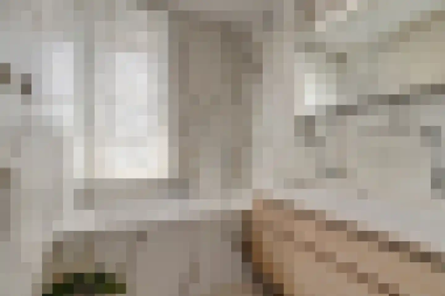 Voerstraat 16 Leiderdorp thumbnail 32