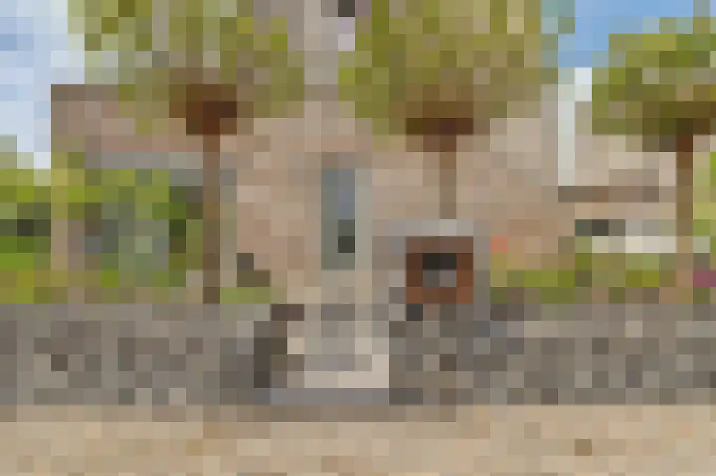 Voerstraat 16 Leiderdorp thumbnail 6