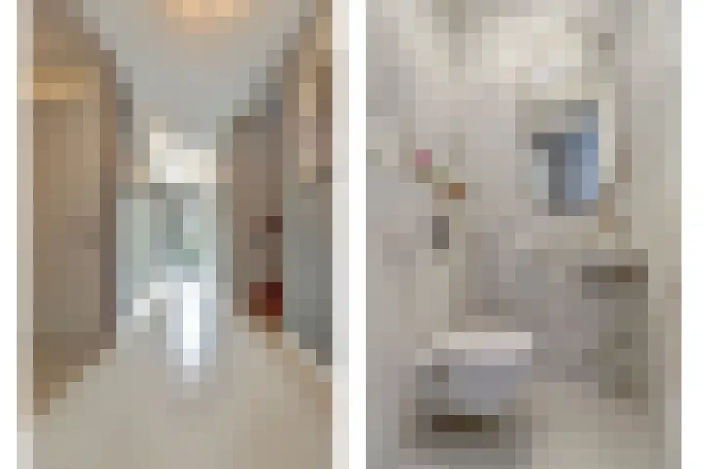 Voerstraat 16 Leiderdorp thumbnail 7
