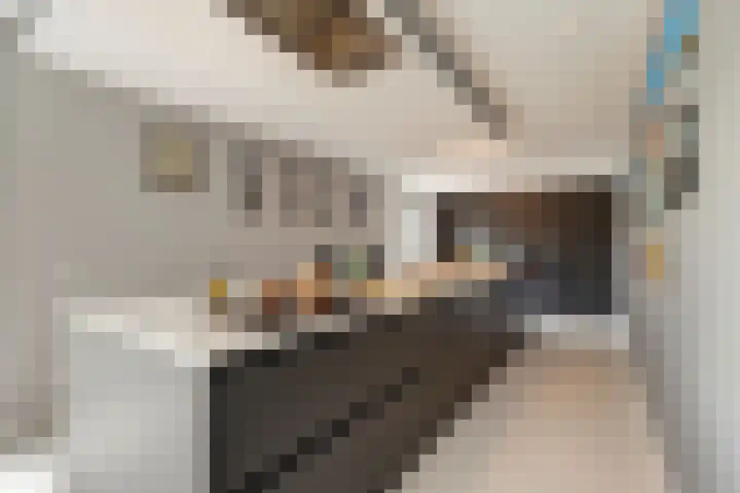 Voerstraat 16 Leiderdorp thumbnail 9