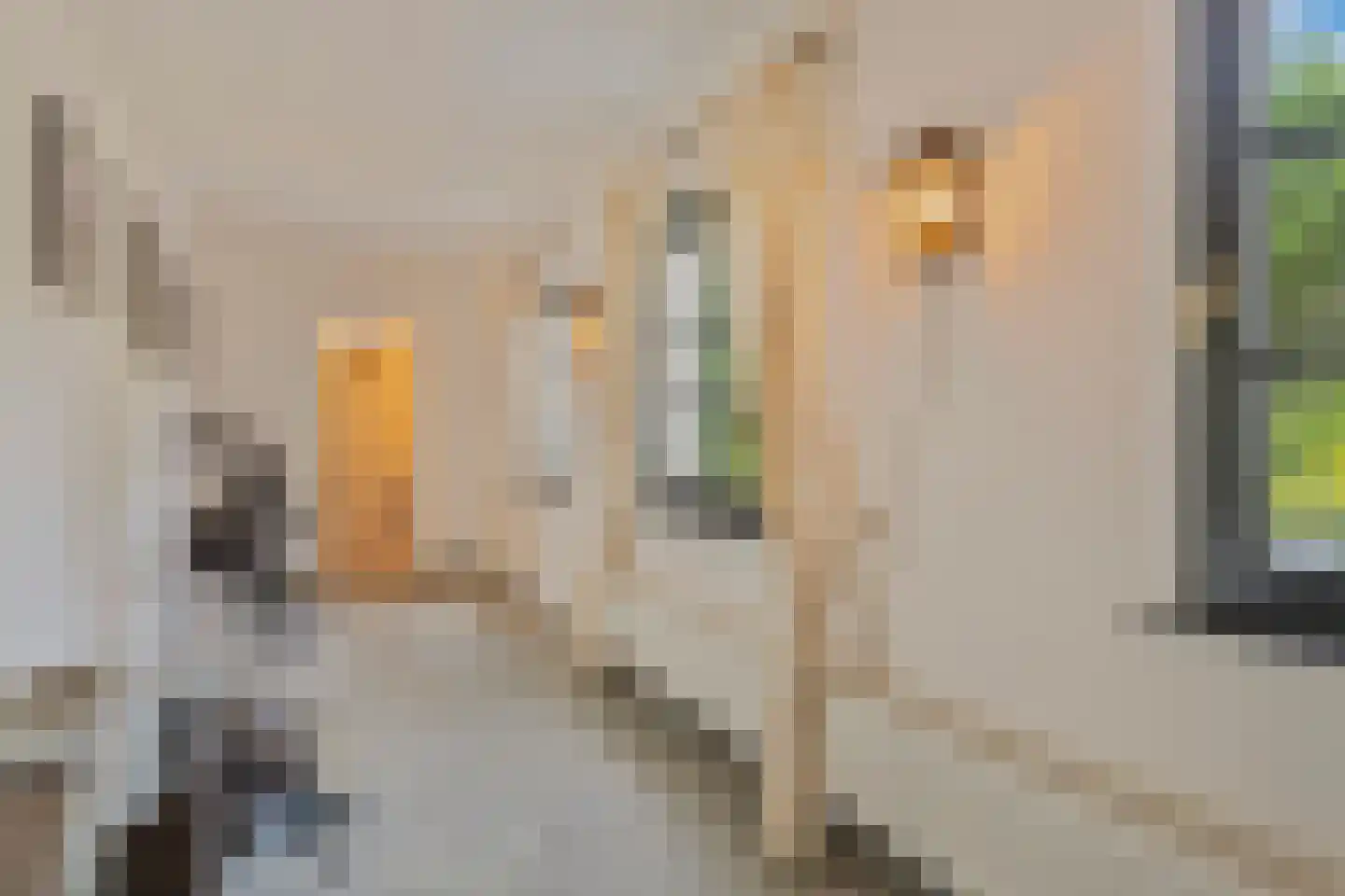 Voerstraat 2 Eijsden thumbnail 20
