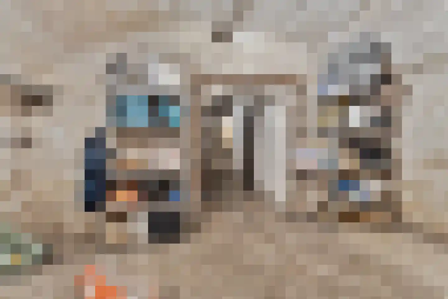 Voerstraat 2 Eijsden thumbnail 36