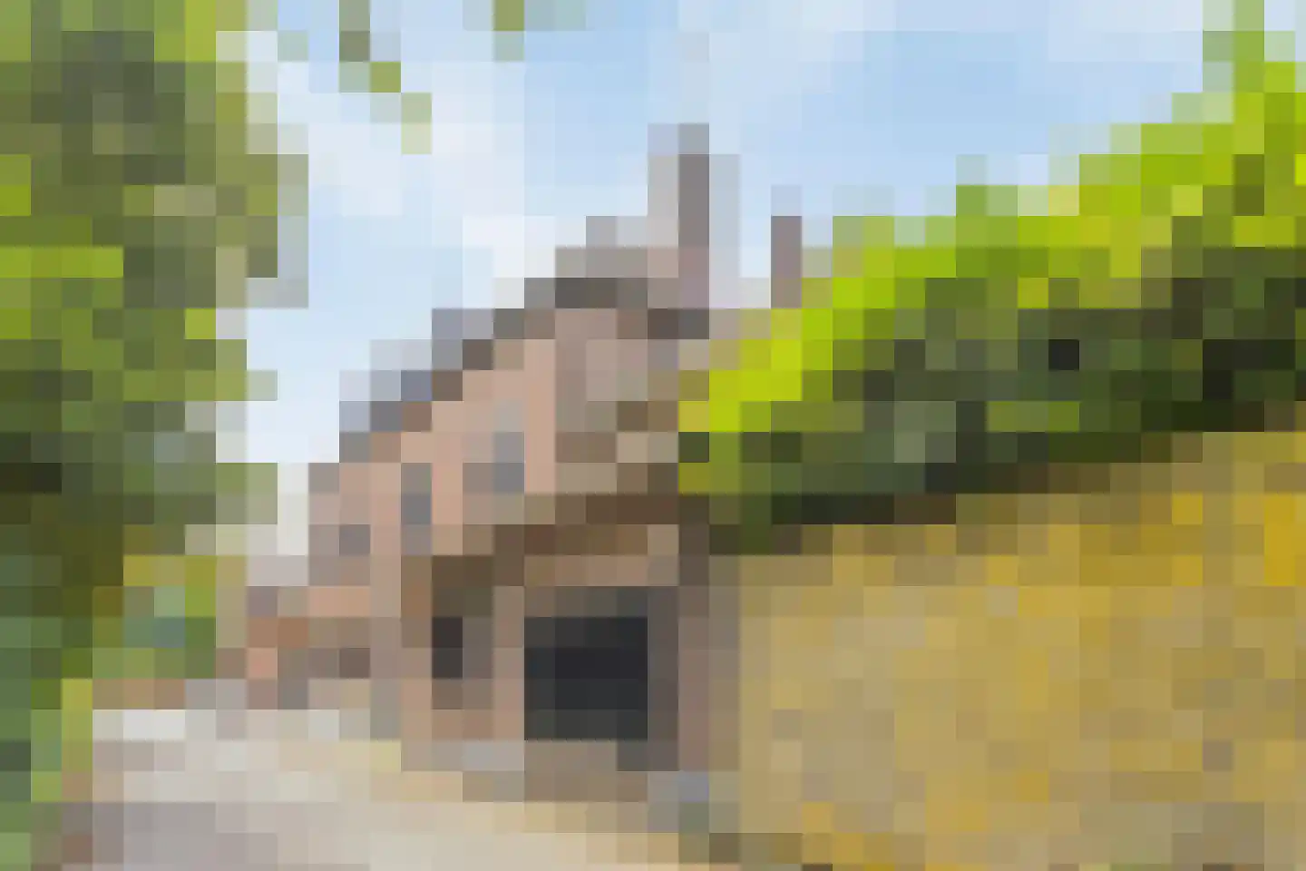 Voerstraat 2 Eijsden thumbnail 54