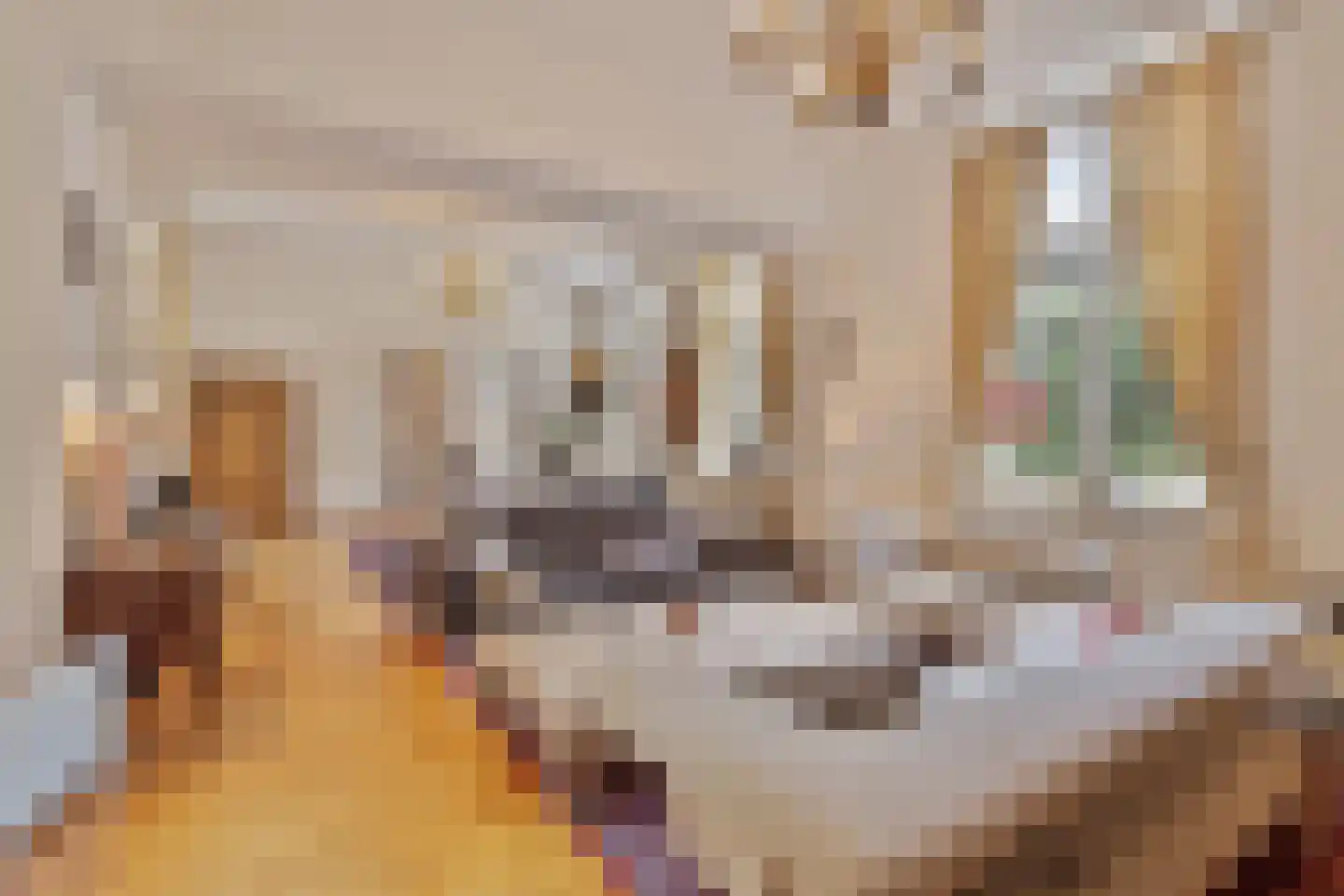 Voerstraat 2 Eijsden thumbnail 7