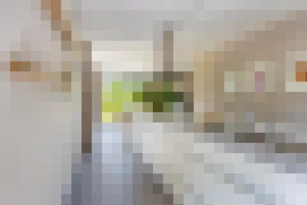 Voerstraat 4 Leiderdorp thumbnail 4