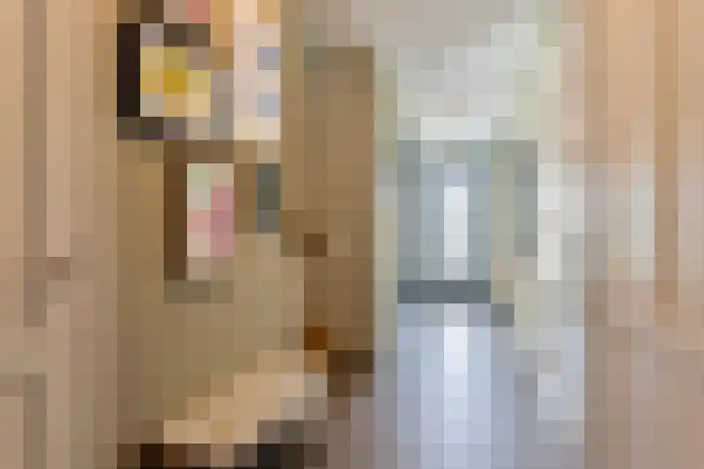Voerstraat 4 Leiderdorp thumbnail 6