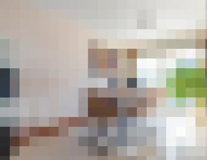 Voerstraat 8 Leiderdorp thumbnail 17