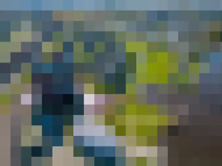 Voerstraat 8 Leiderdorp thumbnail 4