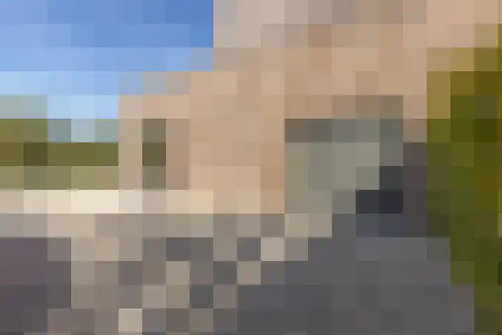 Voerstraat 8 Leiderdorp thumbnail 7