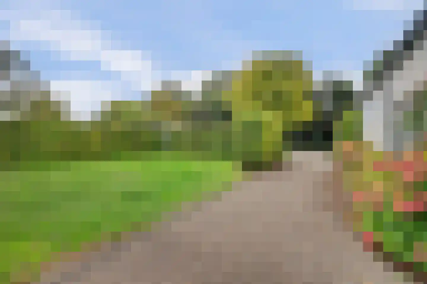 Voet- of Kraagweg 14 Rockanje thumbnail 10