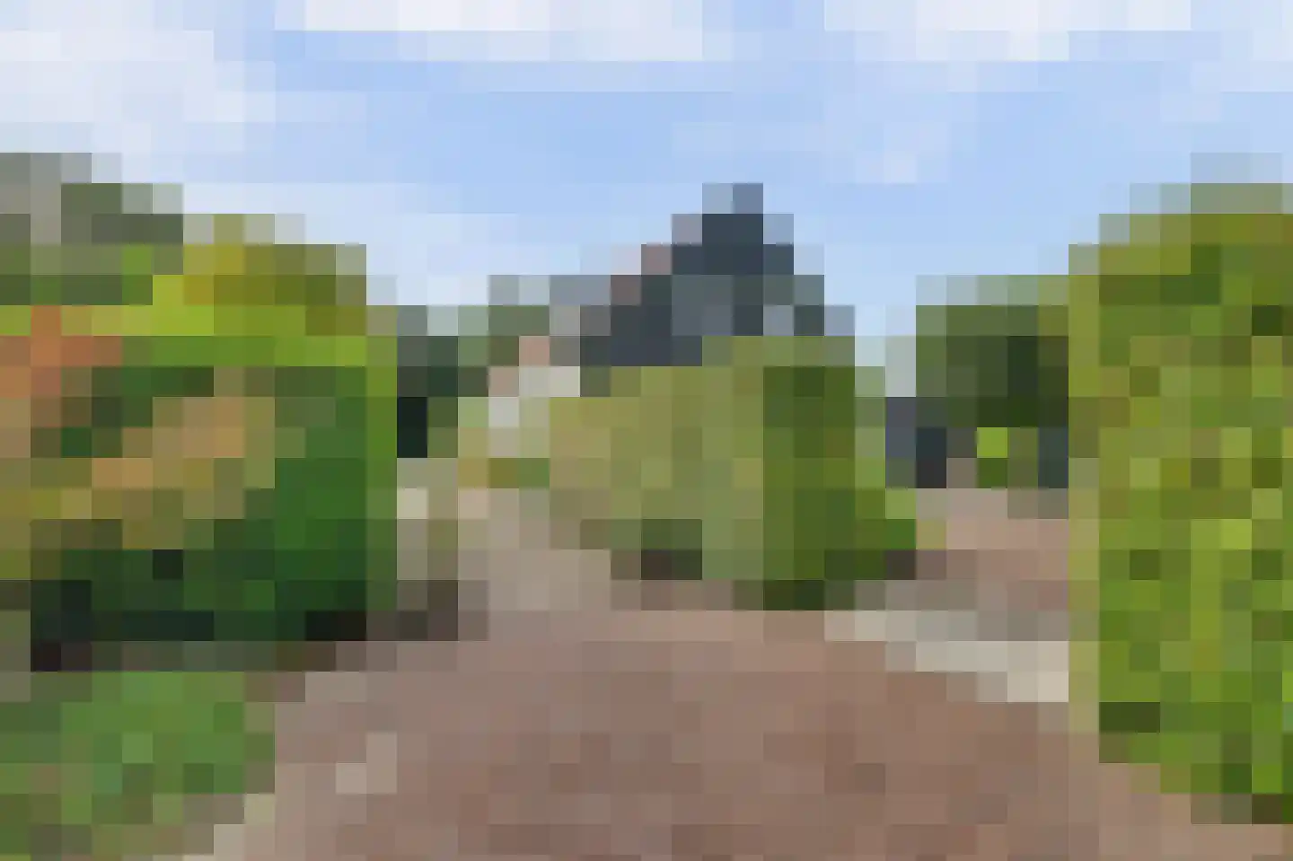 Voet- of Kraagweg 14 Rockanje thumbnail 15