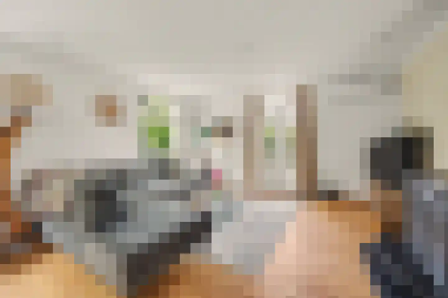 Voet- of Kraagweg 14 Rockanje thumbnail 18